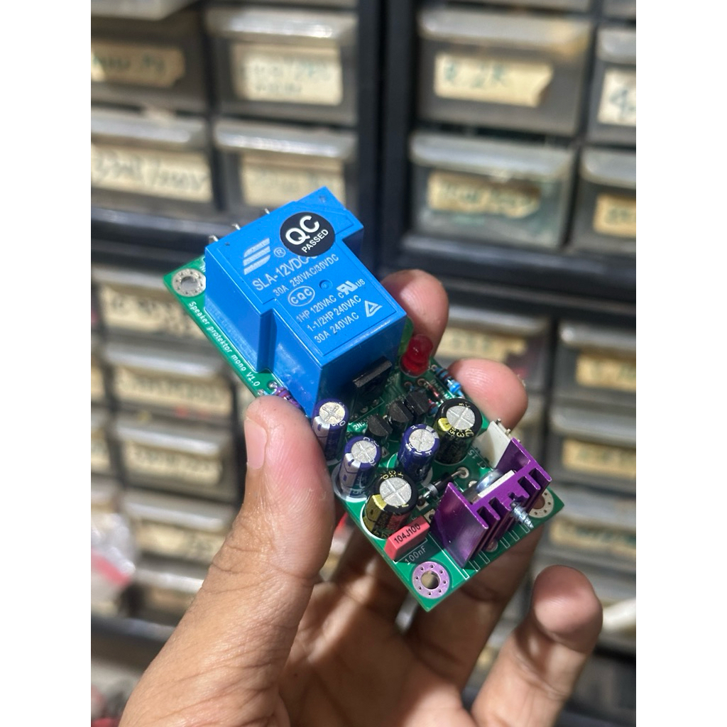 Kit Speaker Protektor Mono Dobel Layer 12V AC/DC