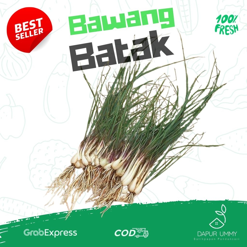 

BAWANG • Batak • Lokio Perikat