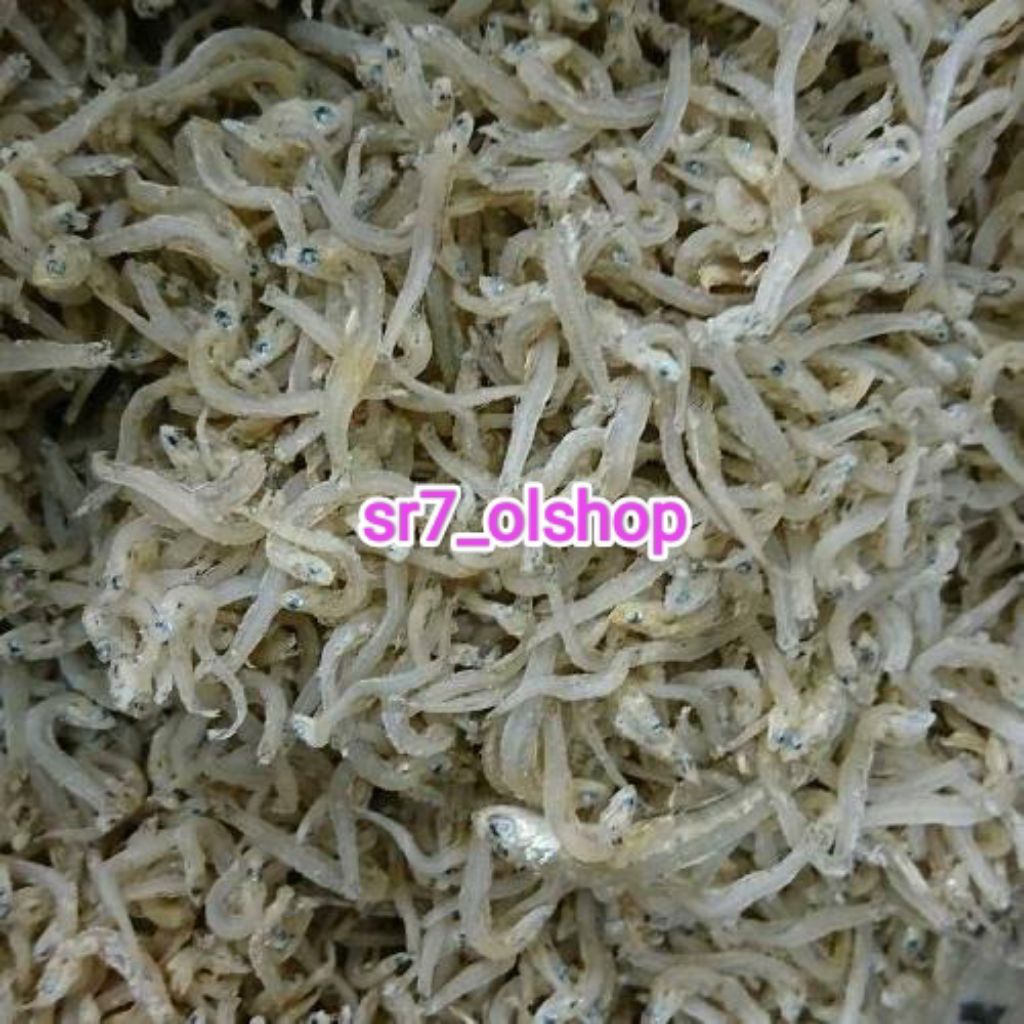 

Ikan Teri Nasi Sedang/ Besar Sedang 100gr