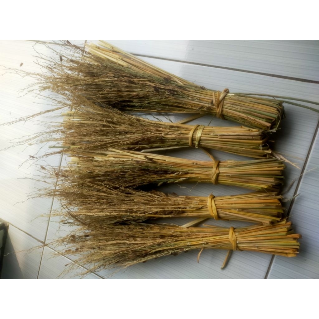 

promo cuci gudang merang jerami ketan hitam (penangkal ilmu hitam)