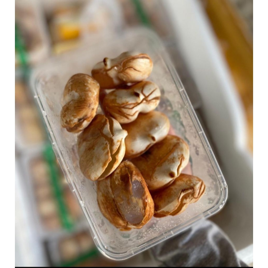 

BUAH LONTAR PACK 300GRAM