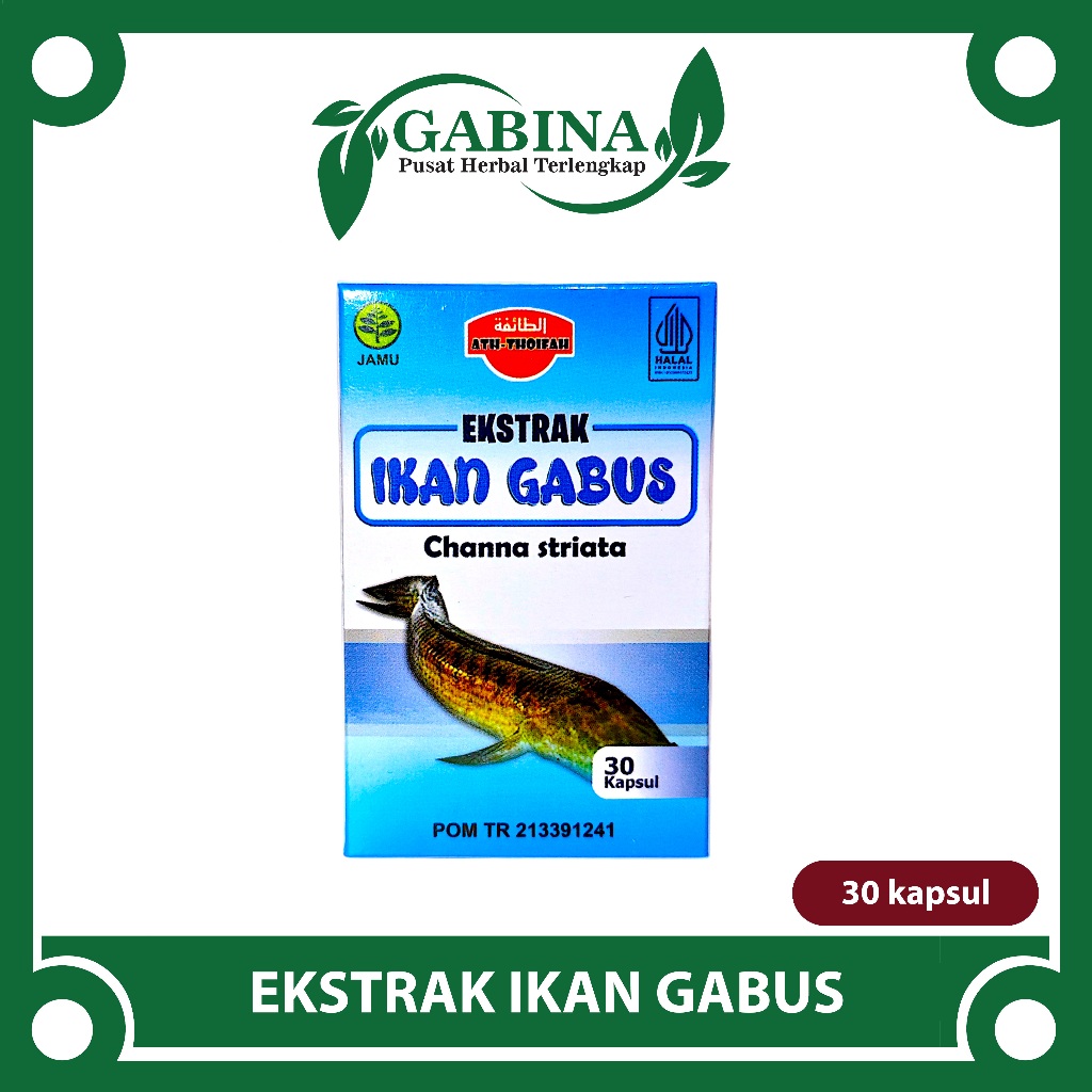 Kapsul Ikan Gabus Albumin Ikan Gabus | Obat Penghilang Bekas Luka & Obat Luka Pasca Operasi