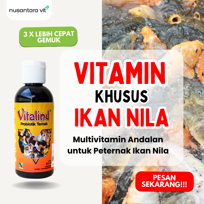 Vitamin Ikan Nila Cepat Besar & Nafsu Makan Meningkat | Obat Ikan, Penggemuk & Suplemen Vitamin Nila