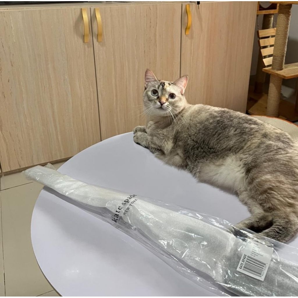 

Chelsea Kate Spade Nylon Card Case Lanyard_Black