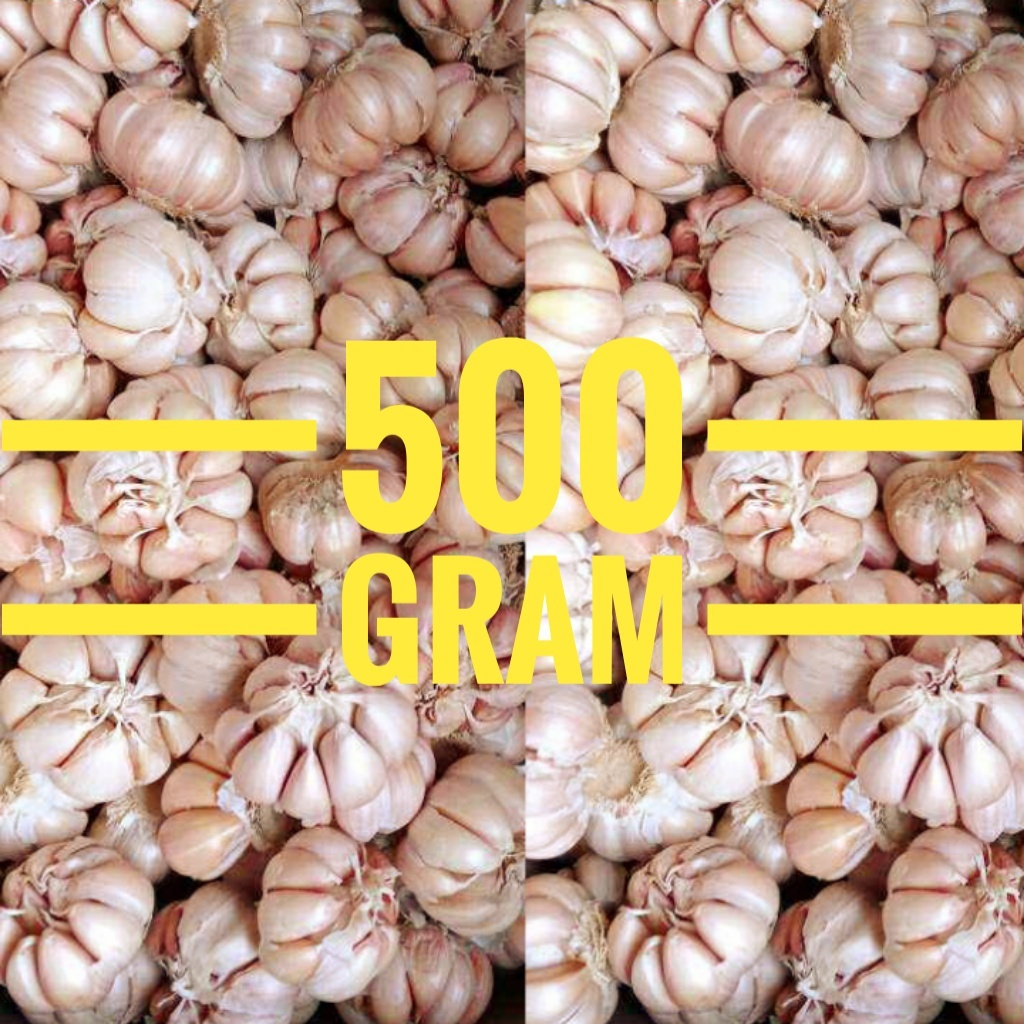 

Bawang Putih Bersih Segar 500 gram UMKM Lokal