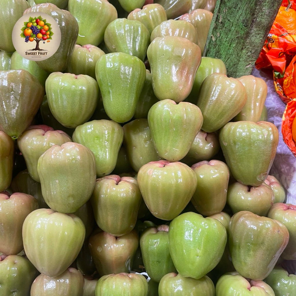 

Jambu Air Cincola Fresh | Jambu Cincola 1 Kg