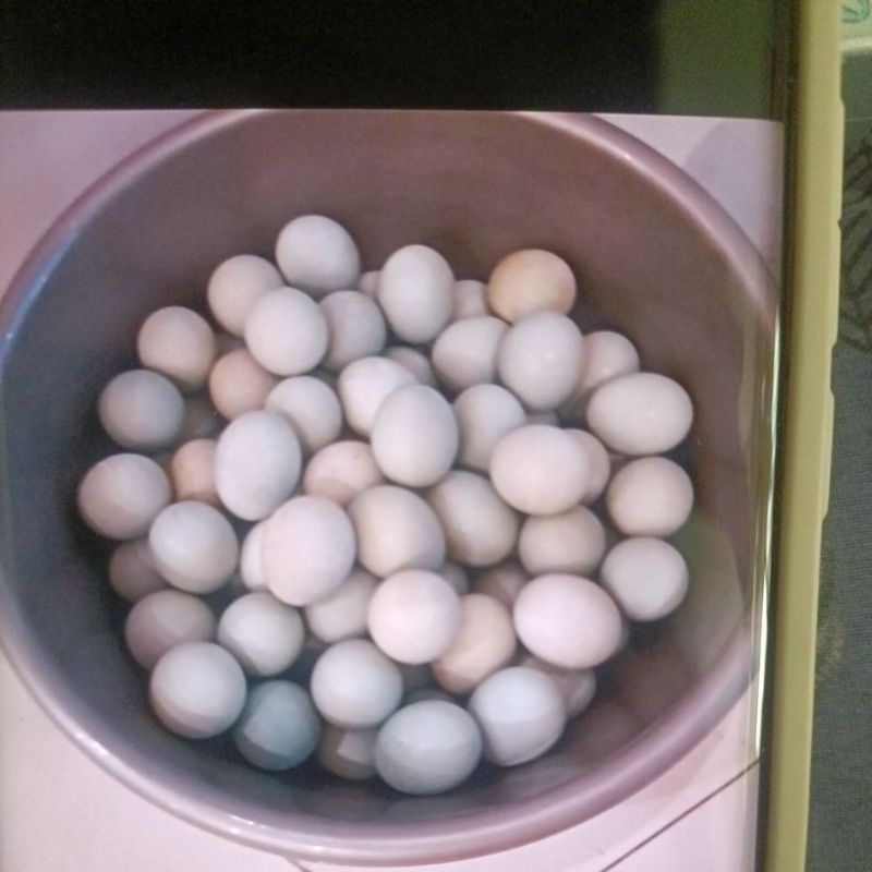 

Telor asin