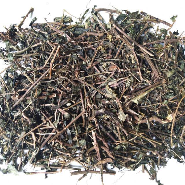 

SAMBILOTO KERING 100 GRAM meningkatkan daya tahan tubuh, meredakan peradangan, hingga membantu mengontrol gula darah