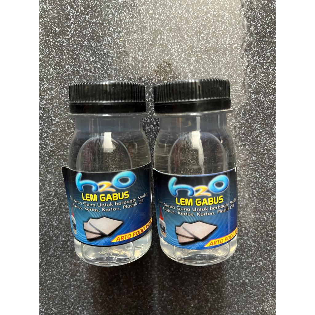 

Lem Gabus H2O Arto Podo Moro