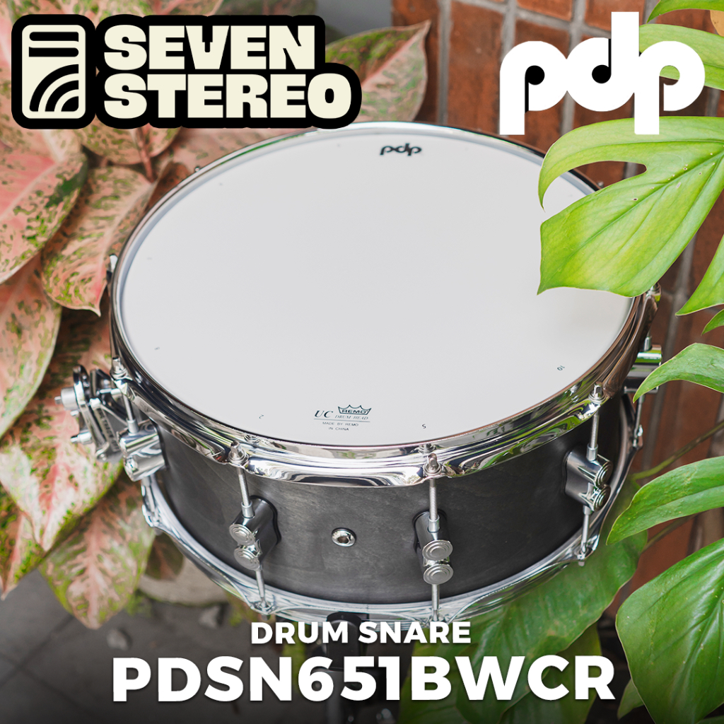 PDP Concept Black Wax Snare 6.5x14" Pacific Drum PDP PDSN6514BWCR