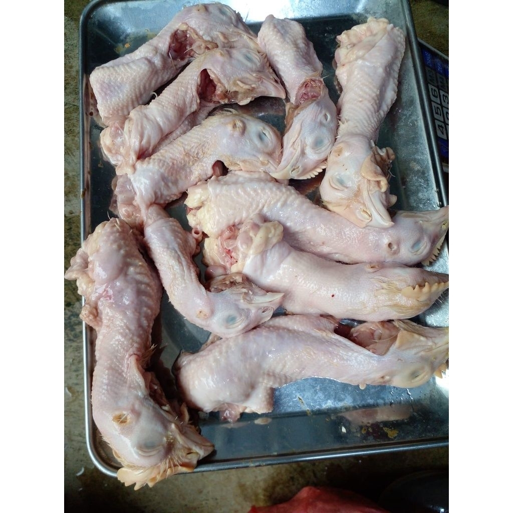 

kepala ayam broiler fresh 1kg halal