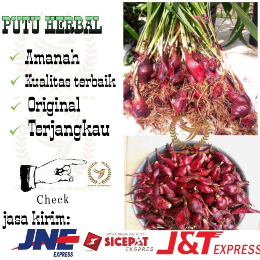 

Bawang Dayak | bawang hutan asli | bawang hutan segar 250 gram