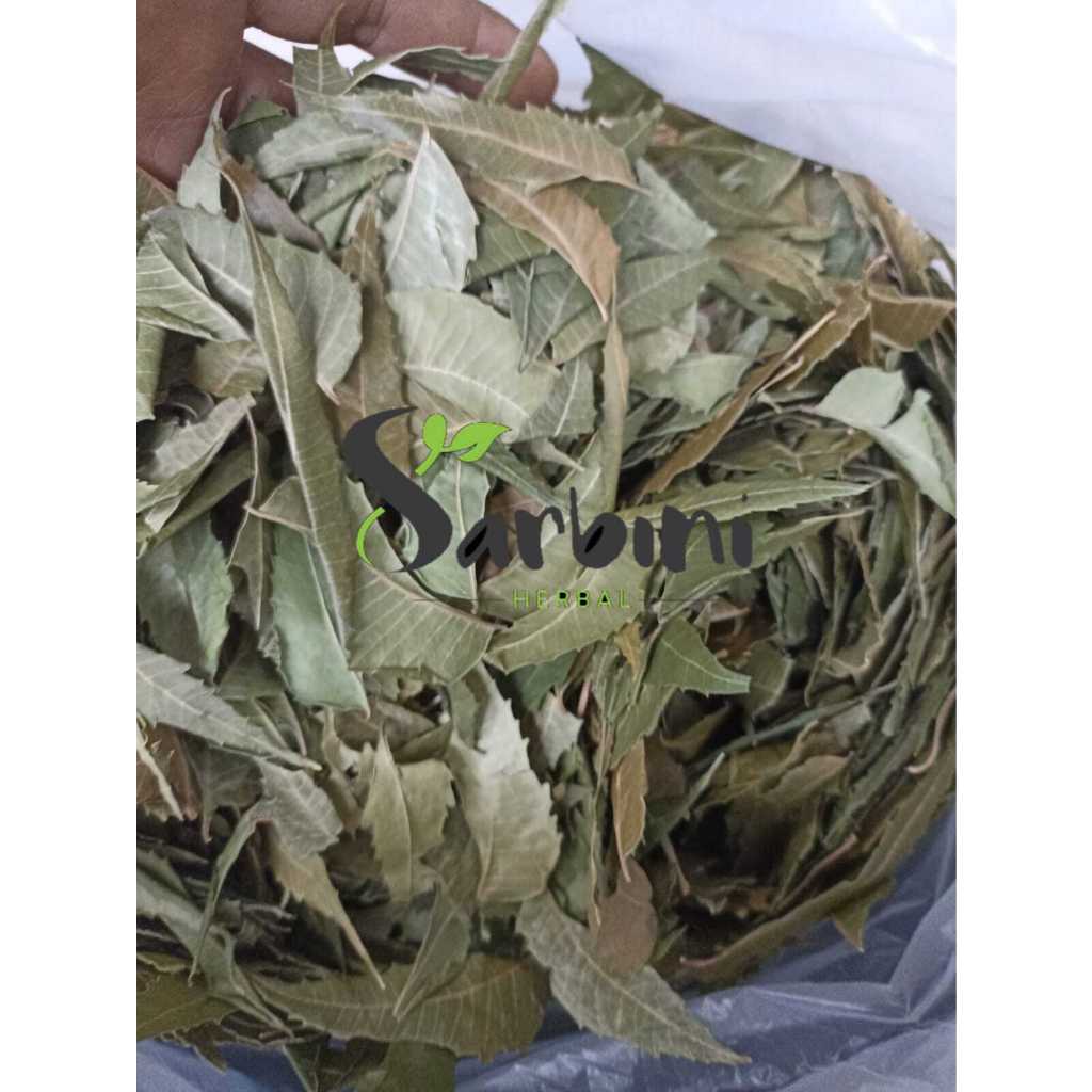 

Daun Mimba Kering/ Kering Neemleaf 100 gram / 250 gram / Simplisia Kering Daun Mimba / Daun Mimba Garansi Terjamin 100% Asli Murni / Bahan Daun Mimba Kering / Bahan Daun Mimba Premium / Jamu Herbal Daun Mimba / Neemleaf