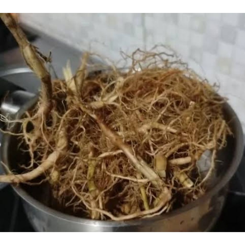 

Akar jelatang segar organik fresh 200 gram