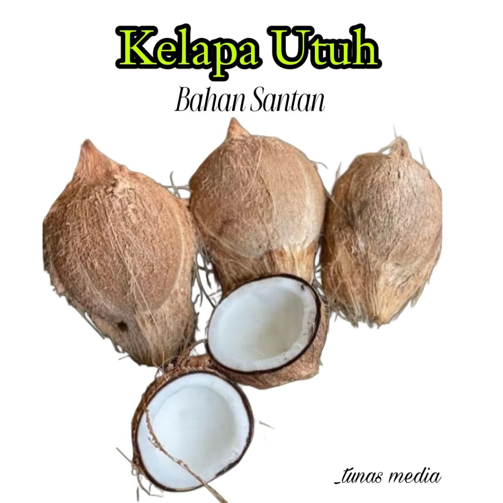 

Kelapa Tua Bahan Santan/Kelapa Tua Utuh/Buah Kelapa/Kelapa Kering