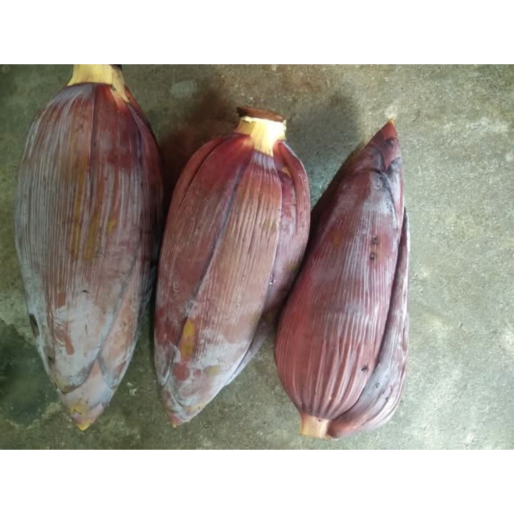 

jantung pisang 1 biji 7000
