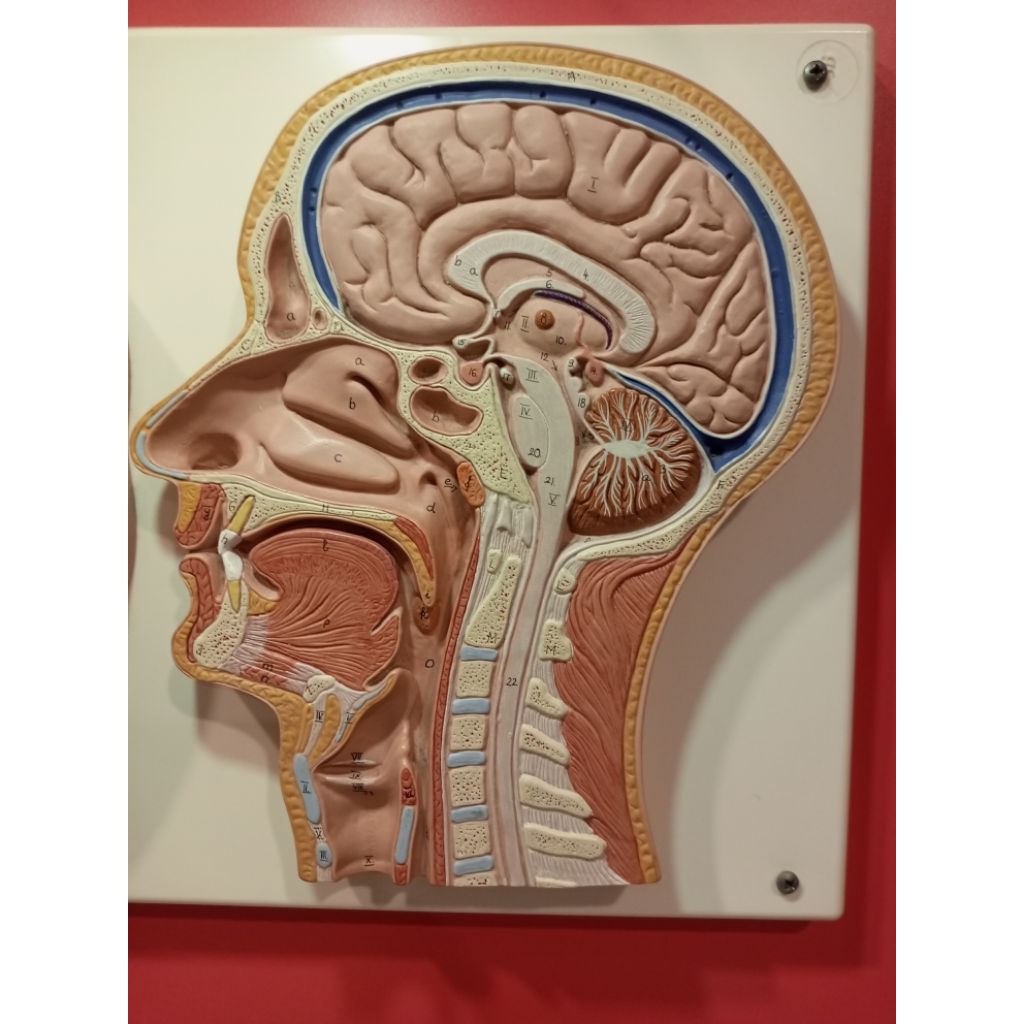 

Buku Cambridge Bekas Cambridge International School