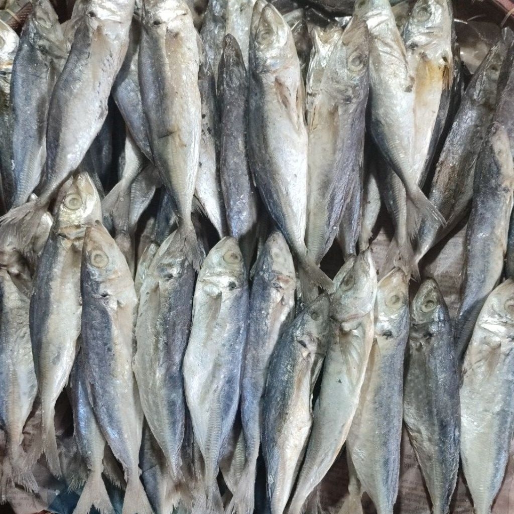 

Ikan asin peda japuh (layang) /bolocot super 250gr/500gr/1kg