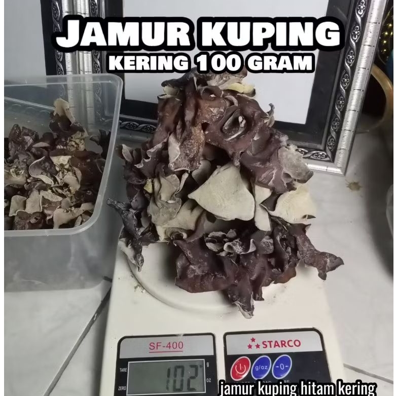 

Jamur Kuping Hitam Kering 100gram