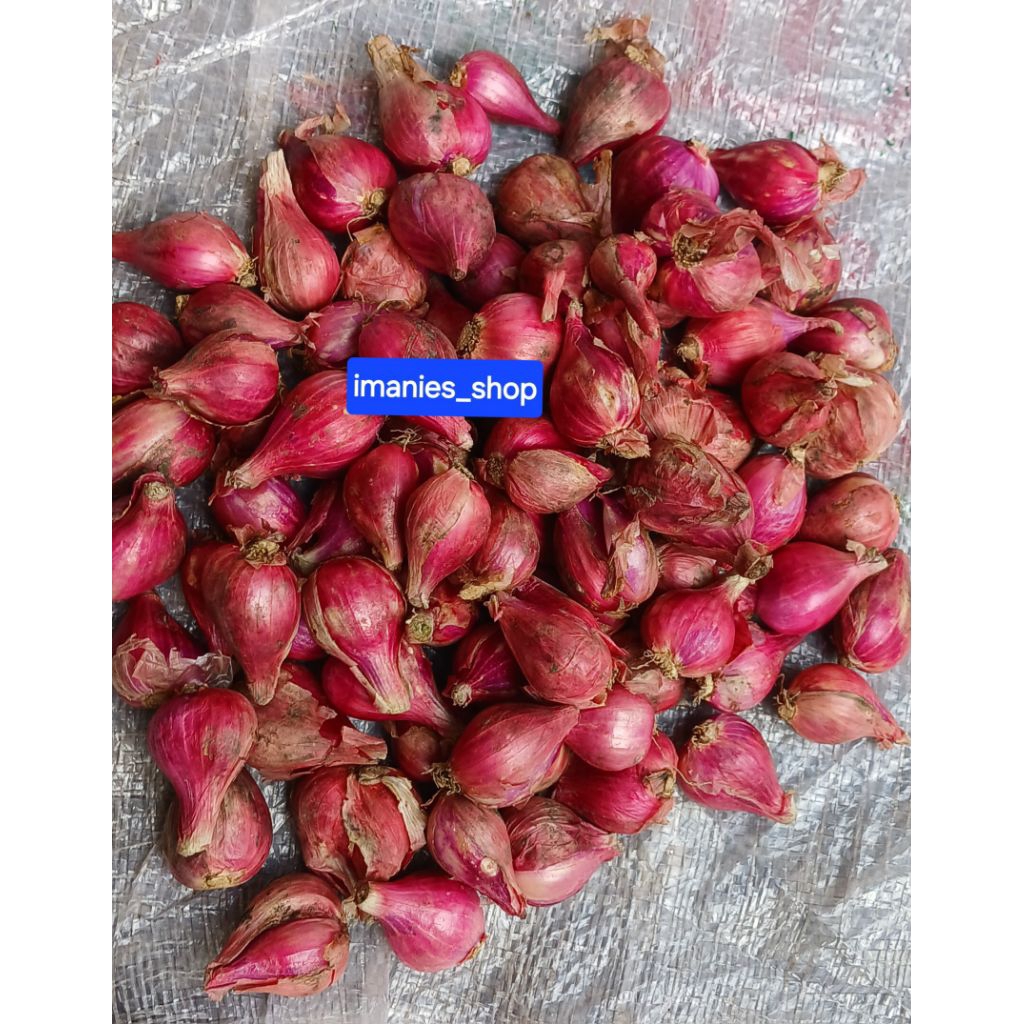 

Bawang Merah brebes ukuran besar pilihan 1kg 500gr