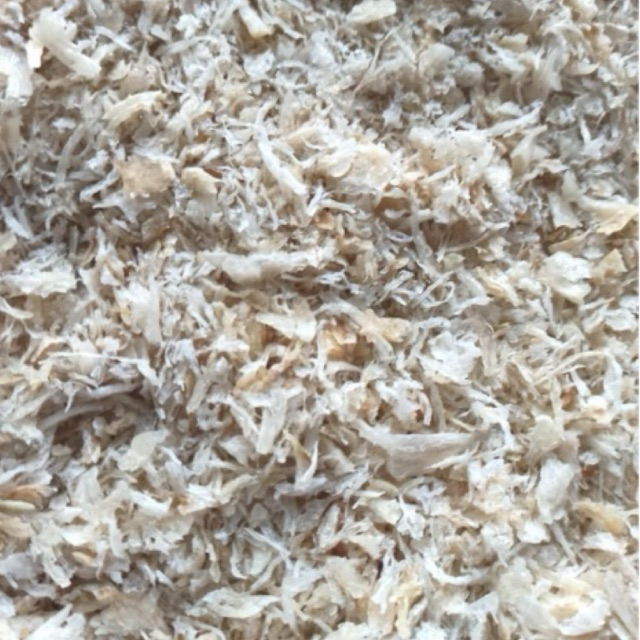 

SarangBurungwaletTerian-(1Gram)