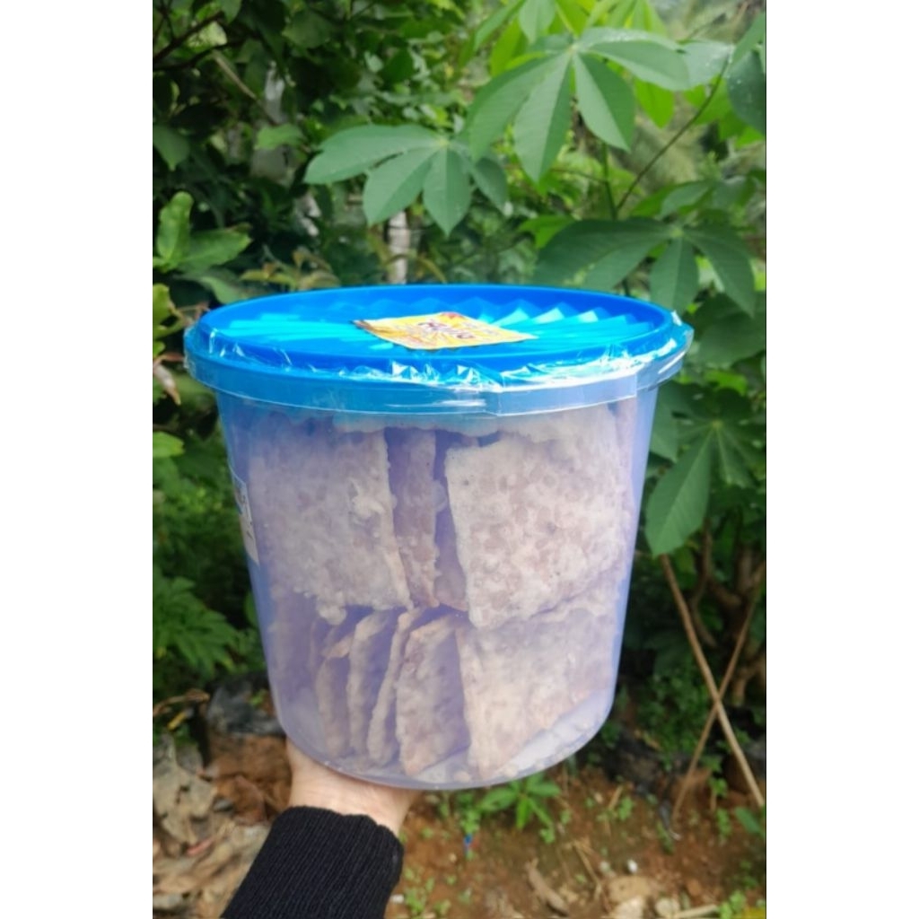 

KRIPIK TEMPE SATU TOPLES