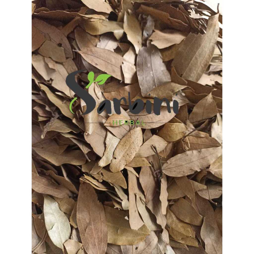 

Daun Kayu Manis Kering / Kering Daun Kayu Manis Kering / 250 gram / Simplisia Kering Daun Kayu Manis / Daun Kayu Manis Kering Garansi Terjamin 100% Asli Murni / Bahan Daun Kayu Manis Kering / Bahan Daun Kayu Manis Kering Premium / Asli Murni