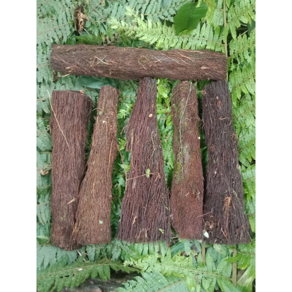 Batang Pohon Pakis Untuk Media Tanam Anggrek Tinggi 40 Cm Lebar 8 Cm