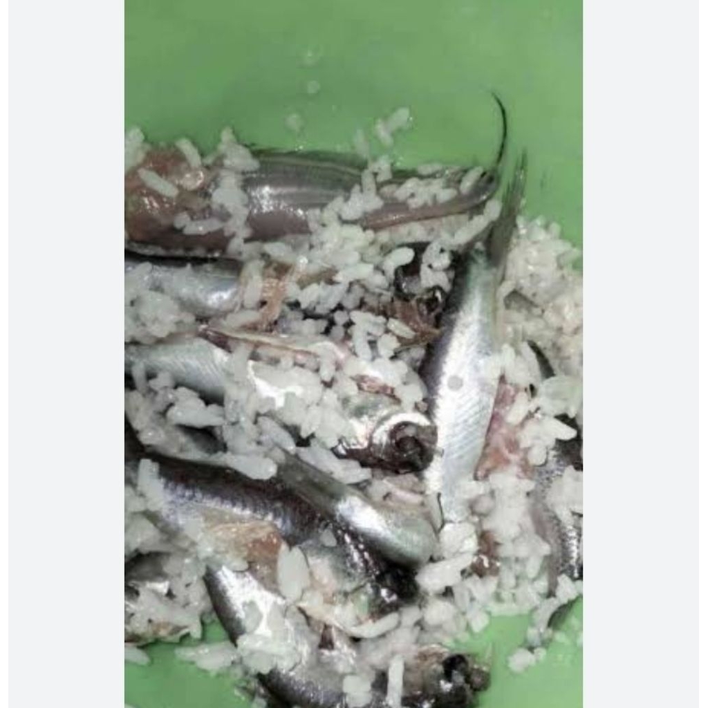

Bekasam ikan sungai