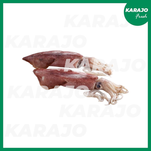 

Cumi Bangka Besar Fresh 500g/1000g