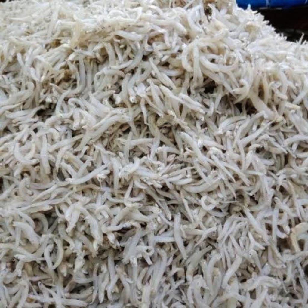 

Ikan teri nasi/teri Medan kemasan 250Gram