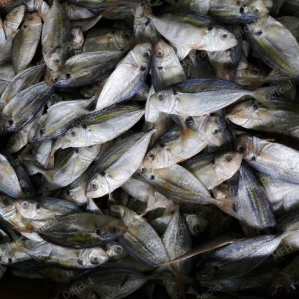 

Ikan asin selar termurah 250Gram