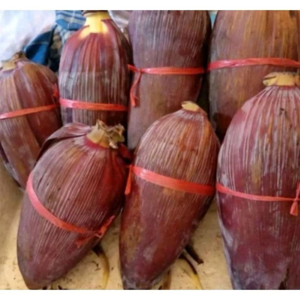 

BUNGA PISANG
