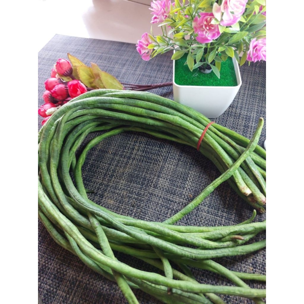 

Kacang Panjang Sayur [1 Kg] Sayur Segar Bogor