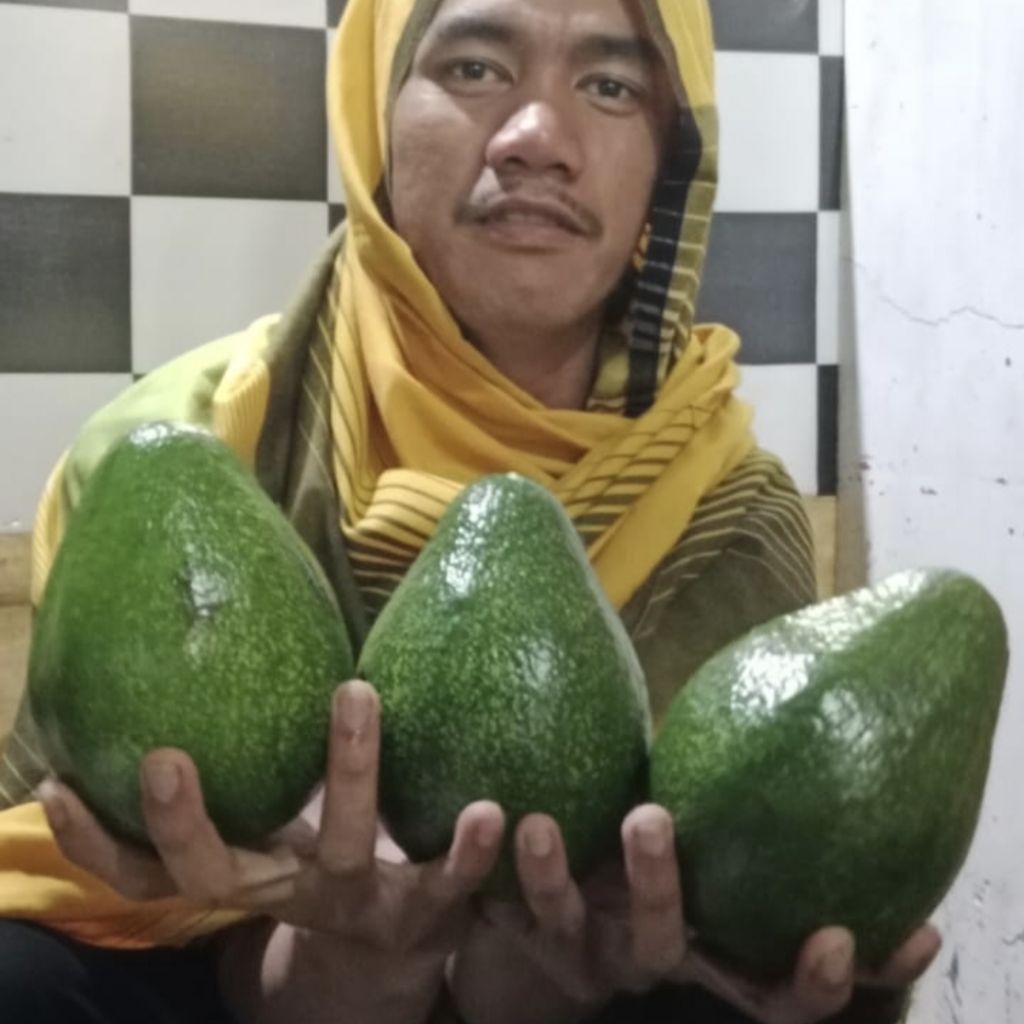 

AlpukatMentegaLokalBandungSuper1Kgisi(2,3) creme,pulen,lembut,manisDikirimMentahMasihFreshBerkualitasBergaransi