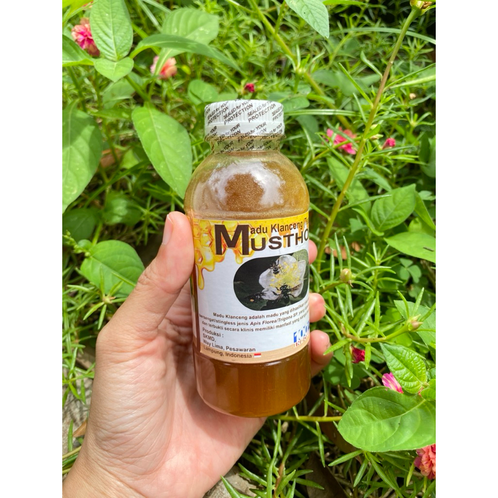 

Madu Klanceng Musthofa (100% Garansi Madu Murni!!)