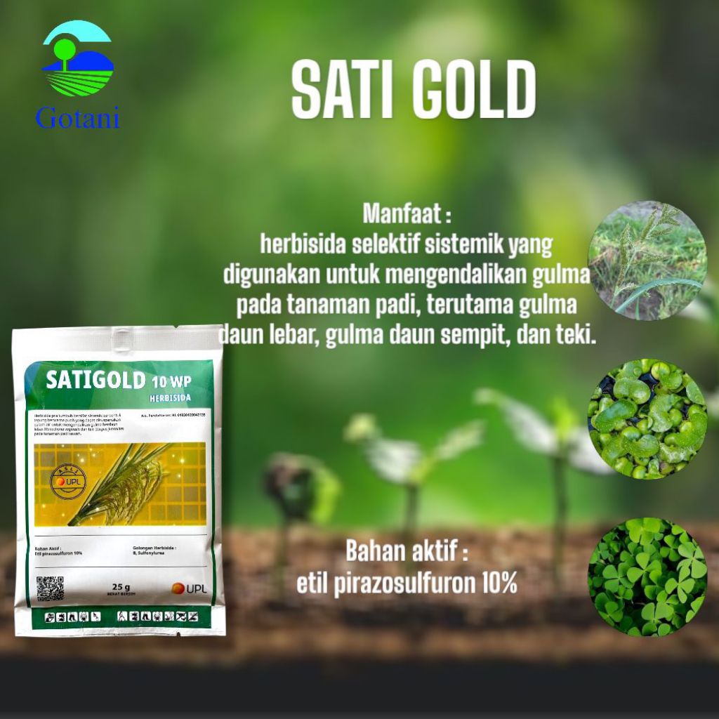 Herbisida SATI-GOLD 10WP 25gr