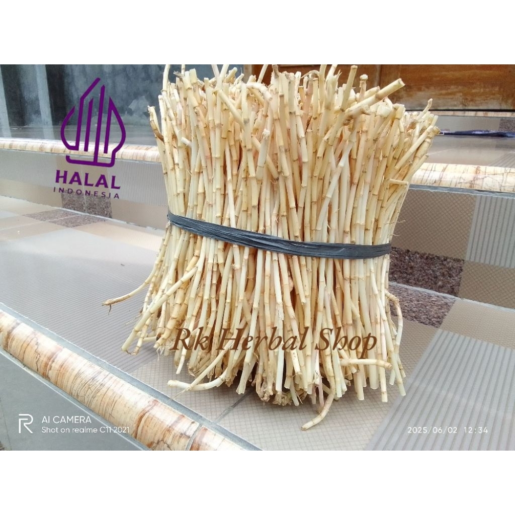 

15 cm herbal ampuh atasi batu ginjal kencing manis alami akar alang-alang segar
