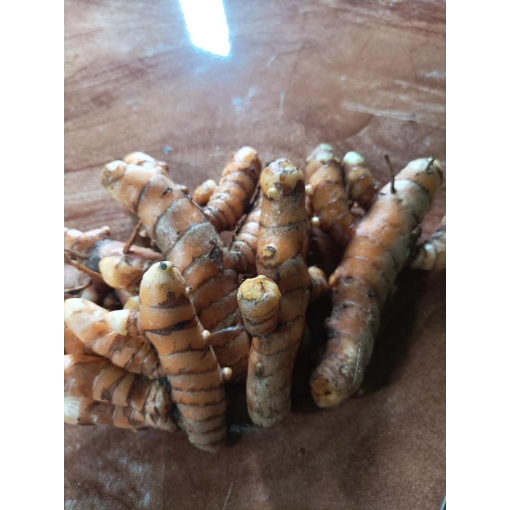 

Kunyit segar kunyit. kuning per 4 kg