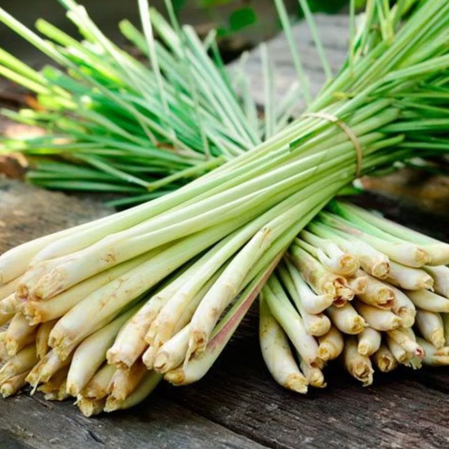 

Sereh / Serai Wangi Segar Berkualitas, Pilihan Tepat untuk Masak dan Lainnya