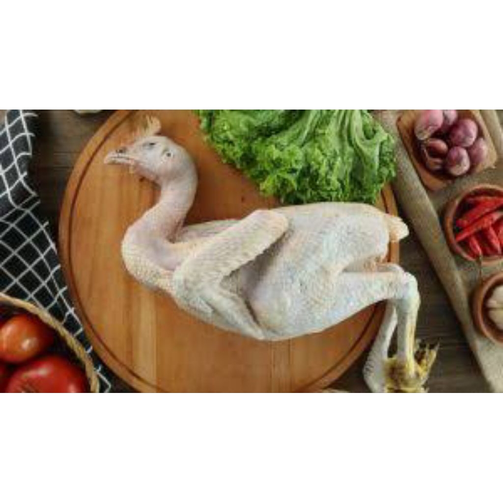 

Ayam kampung segar 3kg-+/ ayam kampung fresh segar 3kg-+