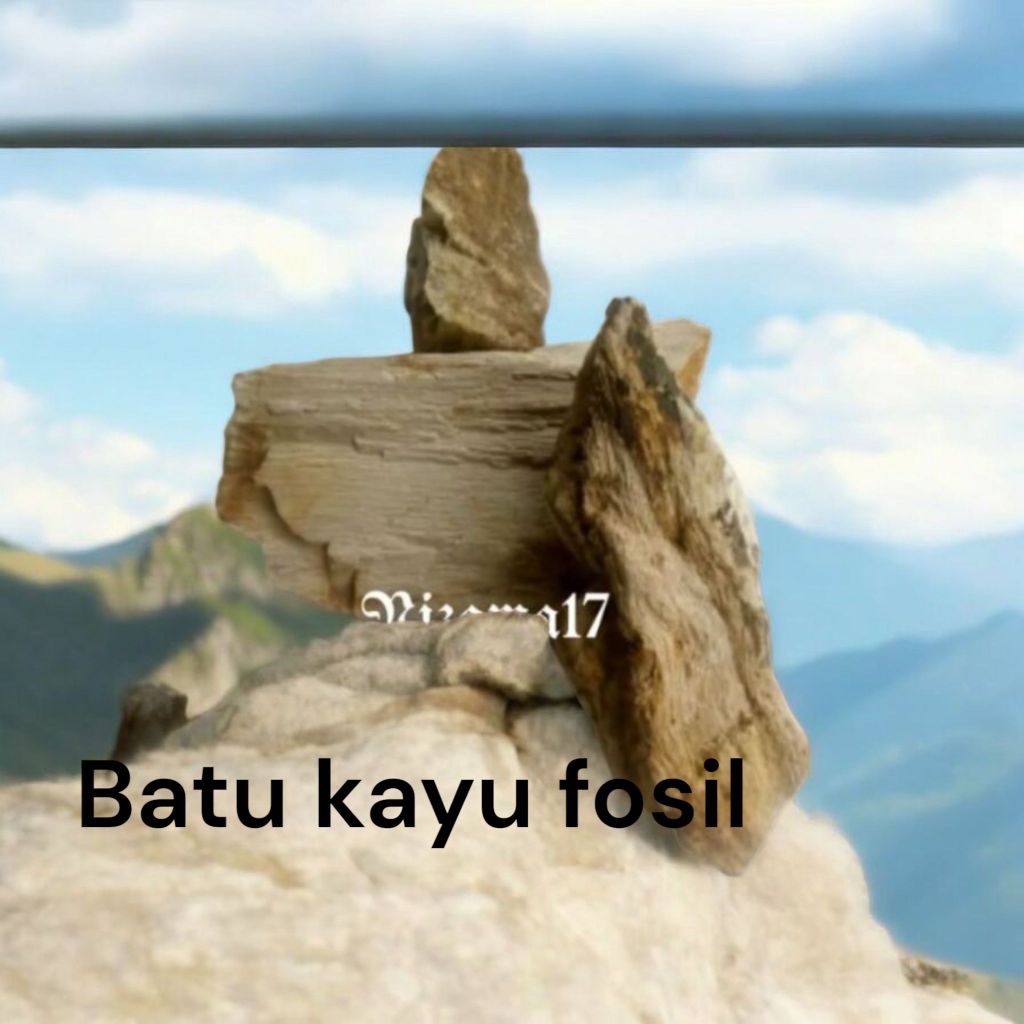 Batu fosil 1kg/Batu kayu fosil/Batu hias/Batu aquascape