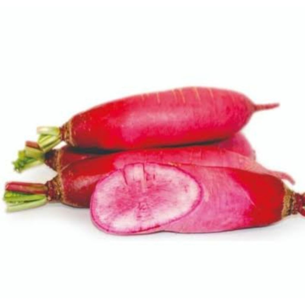 

Lobak Merah/ Red Radish Fresh Segar