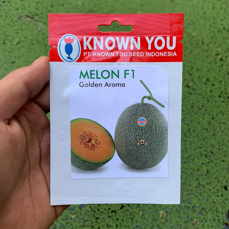 Benih buah Melon F1 GOLDEN AROMA 10 BIJI / Benih Melon Golden