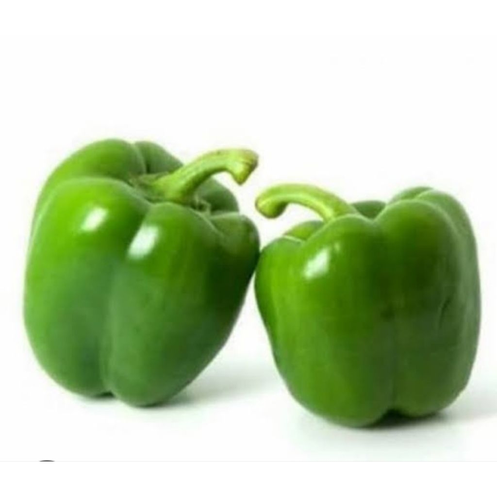 cabe paprika hijau segar asli dari lembang