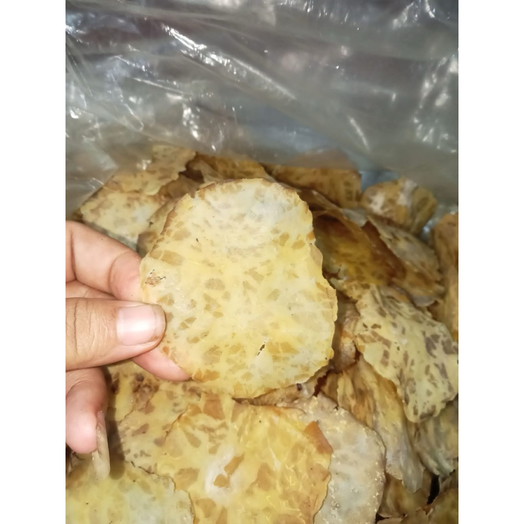 

Kerupuk Jengkol Paling Murah Kecil-kecil 1KG