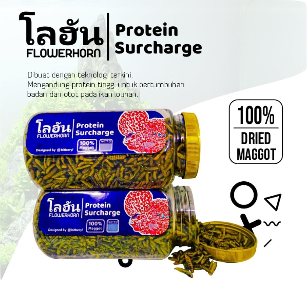 Pakan Ikan Louhan Protein Surcharge Maggot Louhan