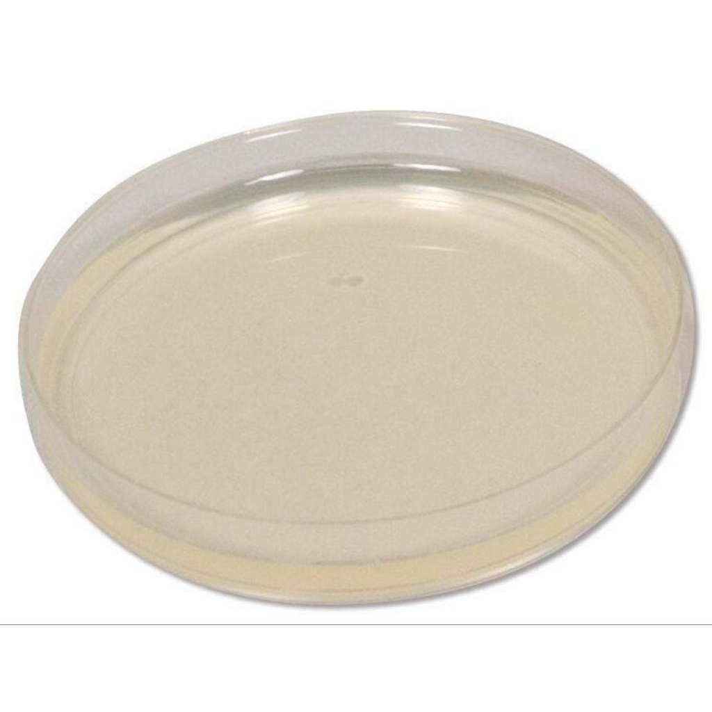 Media Agar Plate Pertumbuhan Jamur untuk TPC / Uji AKK / Potato Dextrose Agar / PDA / Media Pertumbu