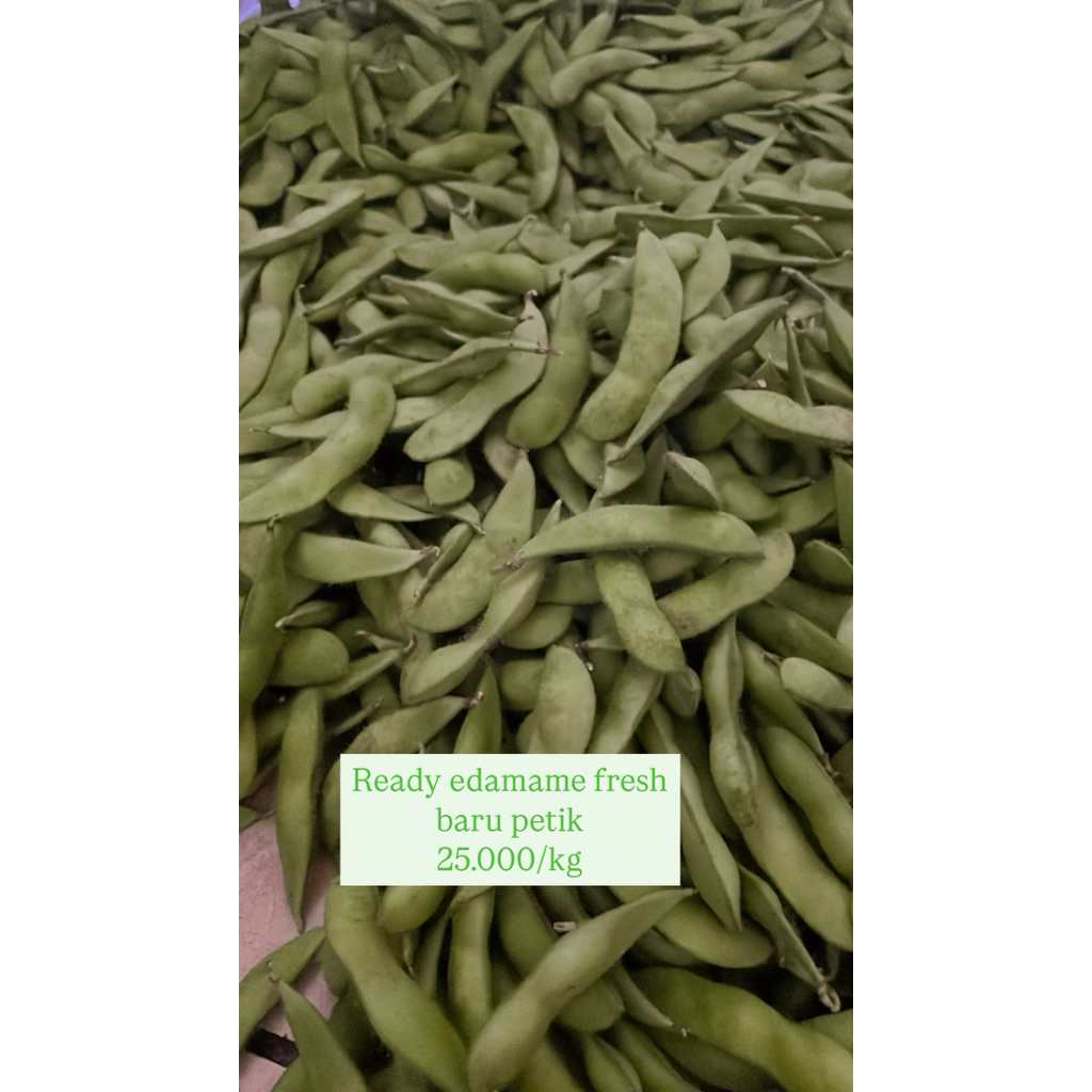 

edamame panen murehh