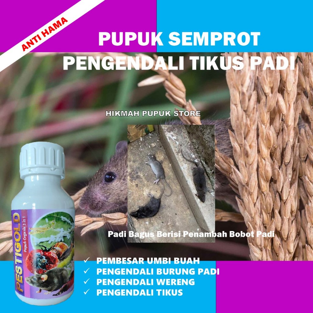 PESTIGOLD 500ml Obat Hama Tikus Pada Padi di Sawah - Obat Pembasmi Hama Tikus Di Sawah - Obat Pengus